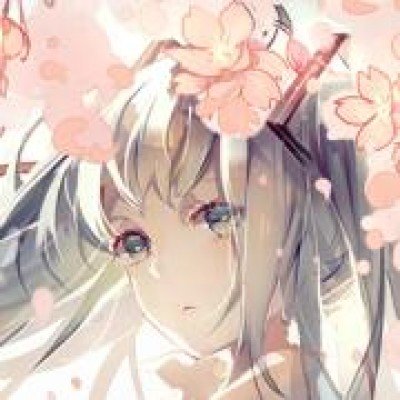 京东携大疆刷新北影节出片新高度